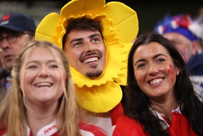 150226 - Wales v France - Guinness Six Nations Championship - Wales fans