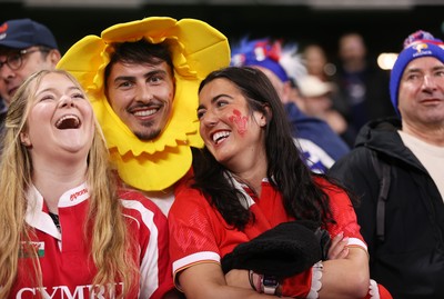 150226 - Wales v France - Guinness Six Nations Championship - Wales fans