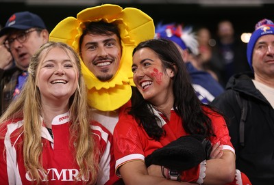 150226 - Wales v France - Guinness Six Nations Championship - Wales fans