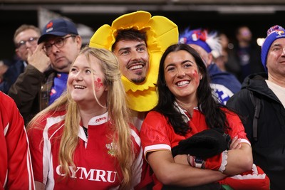 150226 - Wales v France - Guinness Six Nations Championship - Wales fans
