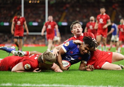 Wales v France 150226