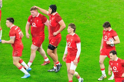 150226 - Wales v France - Guinness Six Nations - Dafydd Jenkins of Wales congratulates Rhys Carre after scoring a try