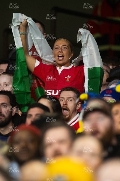 150226 - Wales v France - Fans during the game 