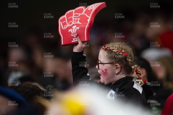 150226 - Wales v France - Guinness Six Nations - Fans during the game 