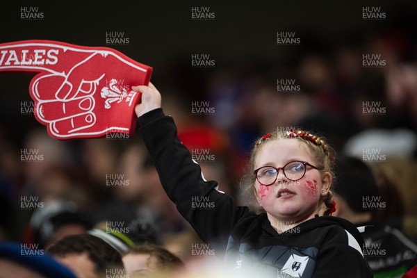 150226 - Wales v France - Guinness Six Nations - Fans during the game 