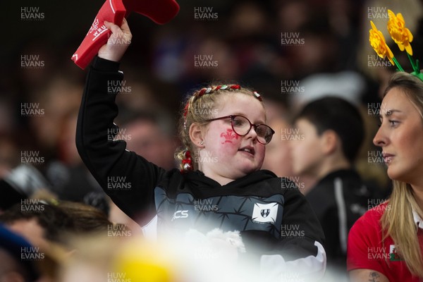 150226 - Wales v France - Guinness Six Nations - Fans during the game 