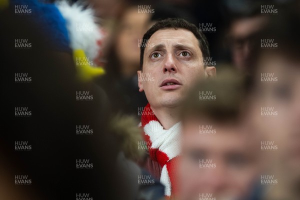 150226 - Wales v France - Guinness Six Nations - Fans during the game 