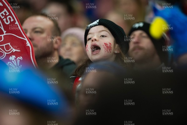 150226 - Wales v France - Guinness Six Nations - Fans during the game 