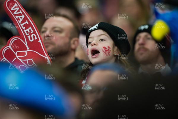 150226 - Wales v France - Guinness Six Nations - Fans during the game 