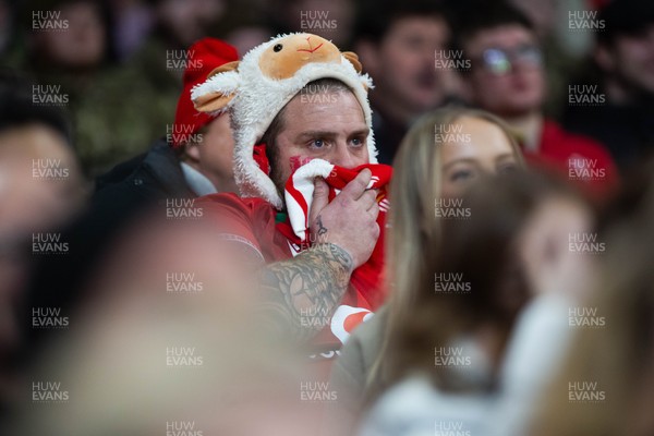150226 - Wales v France - Guinness Six Nations - Fans during the game 