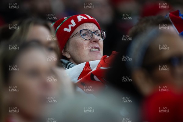 150226 - Wales v France - Guinness Six Nations - Fans during the game 
