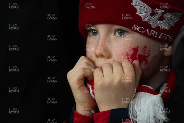 150226 - Wales v France - Guinness Six Nations - Fans during the game 