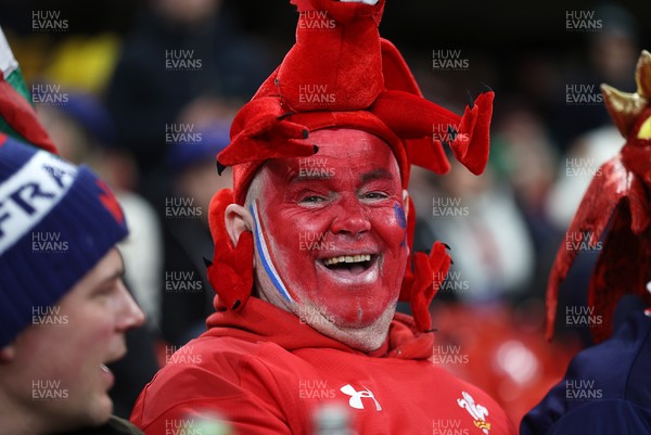 150226 - Wales v France - Guinness Six Nations Championship - Wales fans