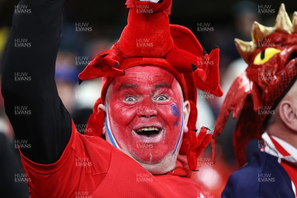 150226 - Wales v France - Guinness Six Nations Championship - Wales fans