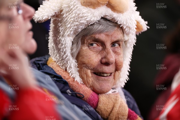 150226 - Wales v France - Guinness Six Nations Championship - Wales fans