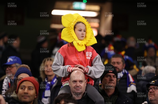 150226 - Wales v France - Guinness Six Nations Championship - Wales fans