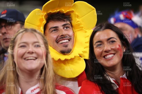 150226 - Wales v France - Guinness Six Nations Championship - Wales fans