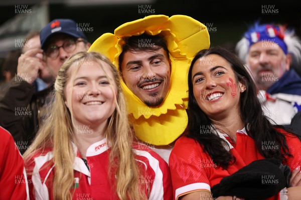 150226 - Wales v France - Guinness Six Nations Championship - Wales fans