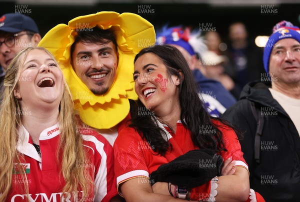 150226 - Wales v France - Guinness Six Nations Championship - Wales fans