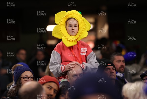 150226 - Wales v France - Guinness Six Nations Championship - Wales fans