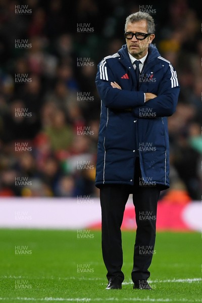 150226 - Wales v France - Guinness Men's Six Nations - France Head Coach, Fabien Galthie