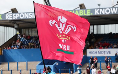 180426 - Wales v France, Guinness Women’s 6 Nations - Force of Nature branding at the match