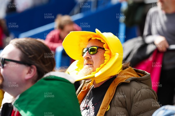 180426 - Wales v France - Guinness Women's Six Nations - A general view of fans of Wales inside Cardiff Arms Park prior to the match