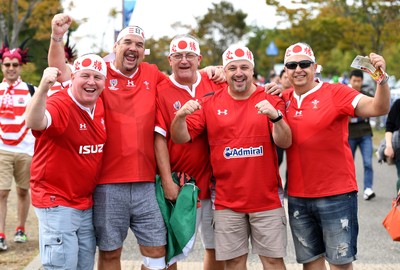 Wales v France 201019