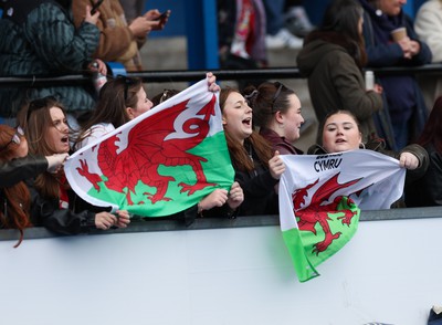 210424 - Wales v France, Guinness Women’s 6 Nations - Wales fans during the match