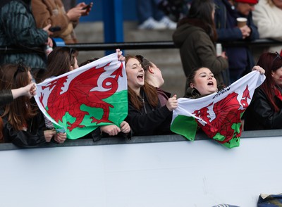 210424 - Wales v France, Guinness Women’s 6 Nations - Wales fans during the match