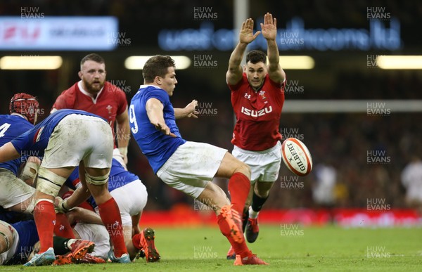 220220 - Wales v France, Guinness Six Nations Championship 2020 - Tomos Williams of Wales looks to charge down the kick from Antoine Dupont of France