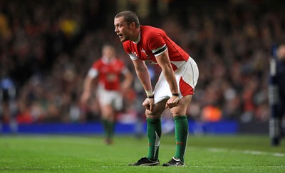 26.02.10 - Wales v France - RBS Six Nations 2010 - Richie Rees of Wales. 
