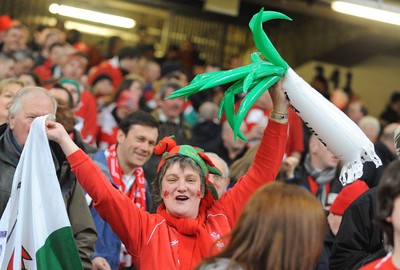26.02.10 - Six Nations Rugby, Wales v France Wales fan 