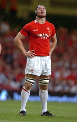 26.08.07 - Wales v France - Invesco Perpetual 2007 Summer Series - Wales' Ian Gough 