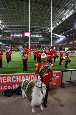 26.08.07 - The Regimental Band of the Royal Welsh at Wales v France 