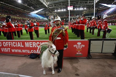 26.08.07 - The Regimental Band of the Royal Welsh at Wales v France 