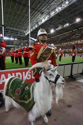 26.08.07 - The Regimental Band of the Royal Welsh at Wales v France 