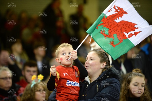 181117 - Wales v Georgia - Under Armour Series - Fans