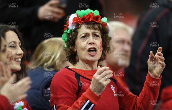 181117 - Wales v Georgia - Under Armour Series 2017 - Wales fans