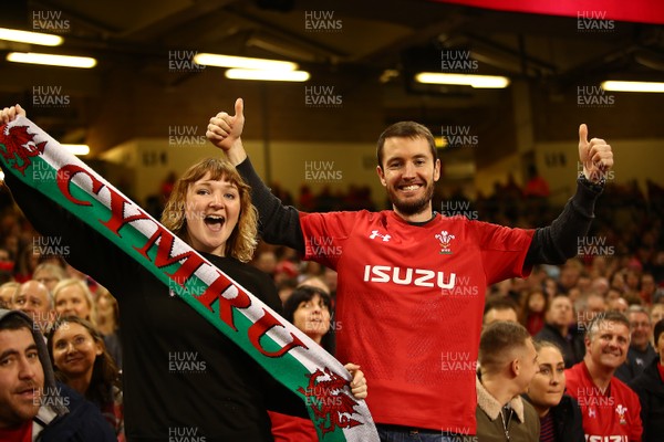 181117 Wales v Georgia - Under Armour 2017 Series -  Fans of Wales enjoy the game