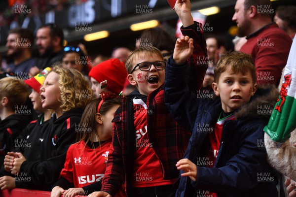 191122 - Wales v Georgia - Autumn Nations Series - Wales supporters