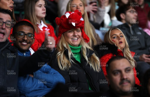 191122 - Wales v Georgia - Autumn Nations Series - Fans in U13