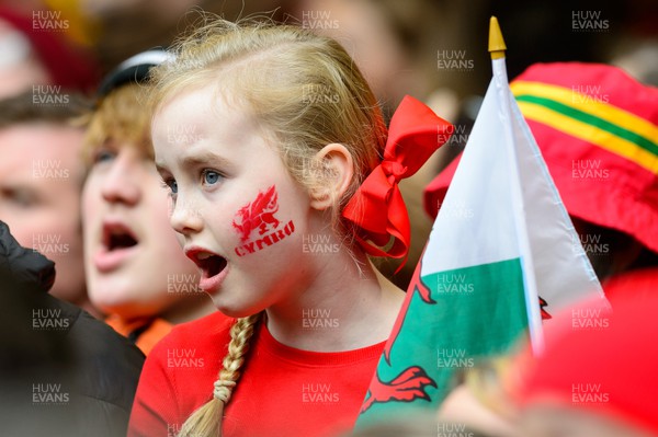 191122 - Wales v Georgia - Autumn Nations Series -  Wales fans in Principality Stadium