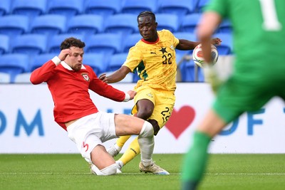 Wales v Ghana 020626