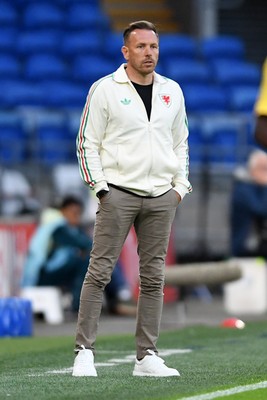 020626 - Wales v Ghana - International Friendly - Craig Bellamy, Wales Manager