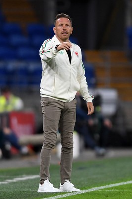 020626 - Wales v Ghana - International Friendly - Craig Bellamy, Wales Manager