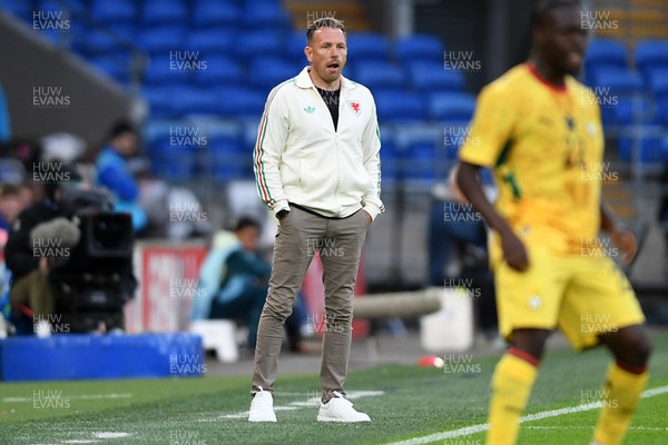 020626 - Wales v Ghana - International Friendly - Craig Bellamy, Wales Manager