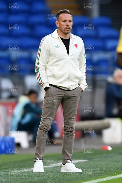 020626 - Wales v Ghana - International Friendly - Craig Bellamy, Wales Manager