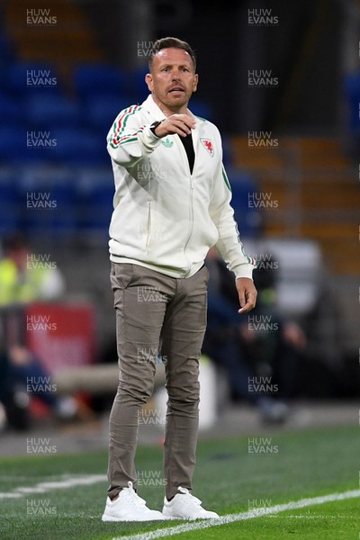 020626 - Wales v Ghana - International Friendly - Craig Bellamy, Wales Manager