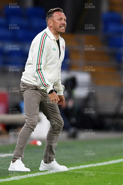 020626 - Wales v Ghana - International Friendly - Craig Bellamy, Wales Manager
